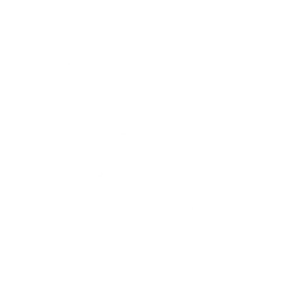 logo-iron-dog